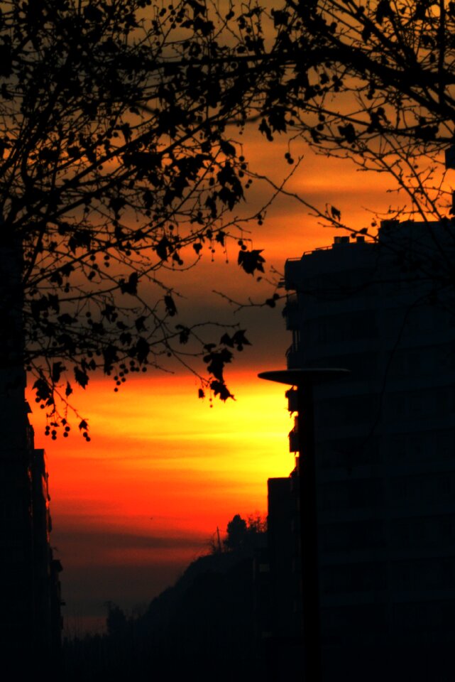 Urban sky