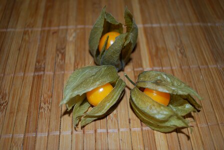 Fruit orange green
