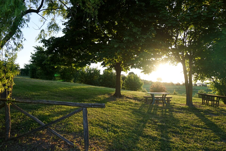 Nature dawn morning