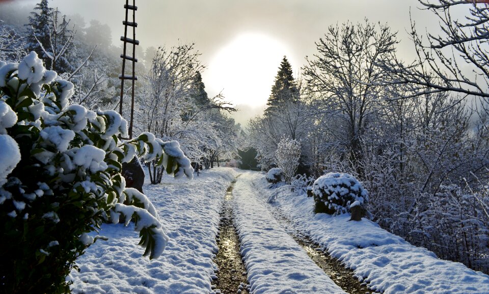 Cévennes sun winter