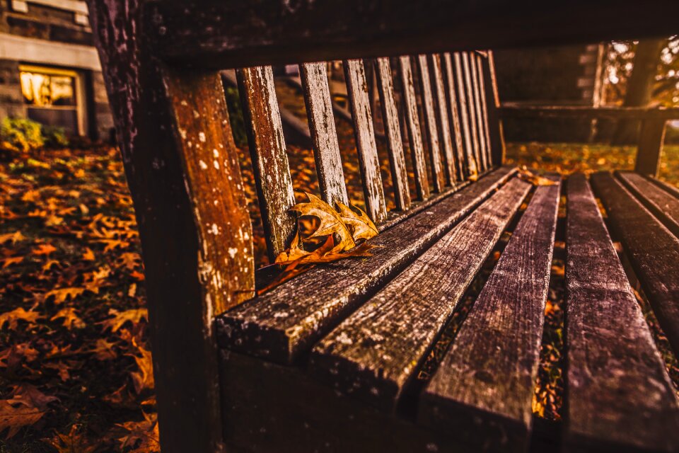 Chair historical old