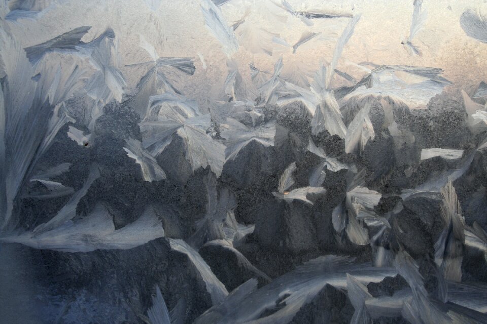 White ice ice butterfly