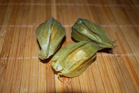 Fruit orange green