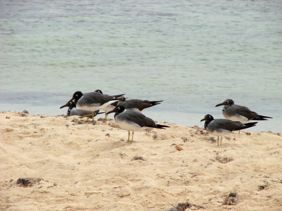 Sand beach sea