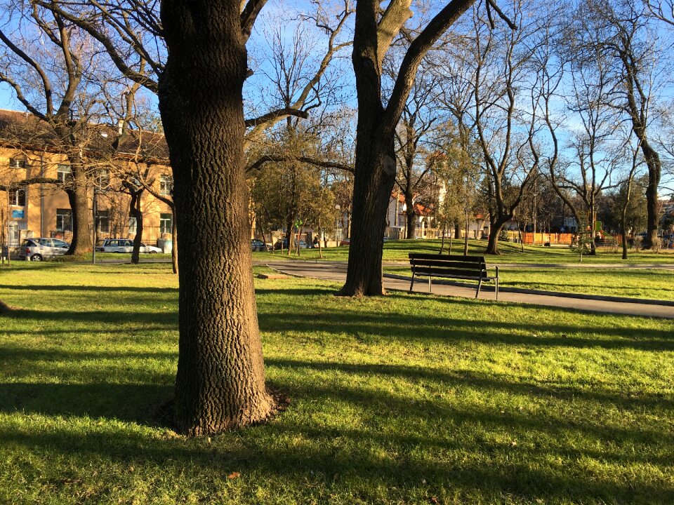 View garden bench