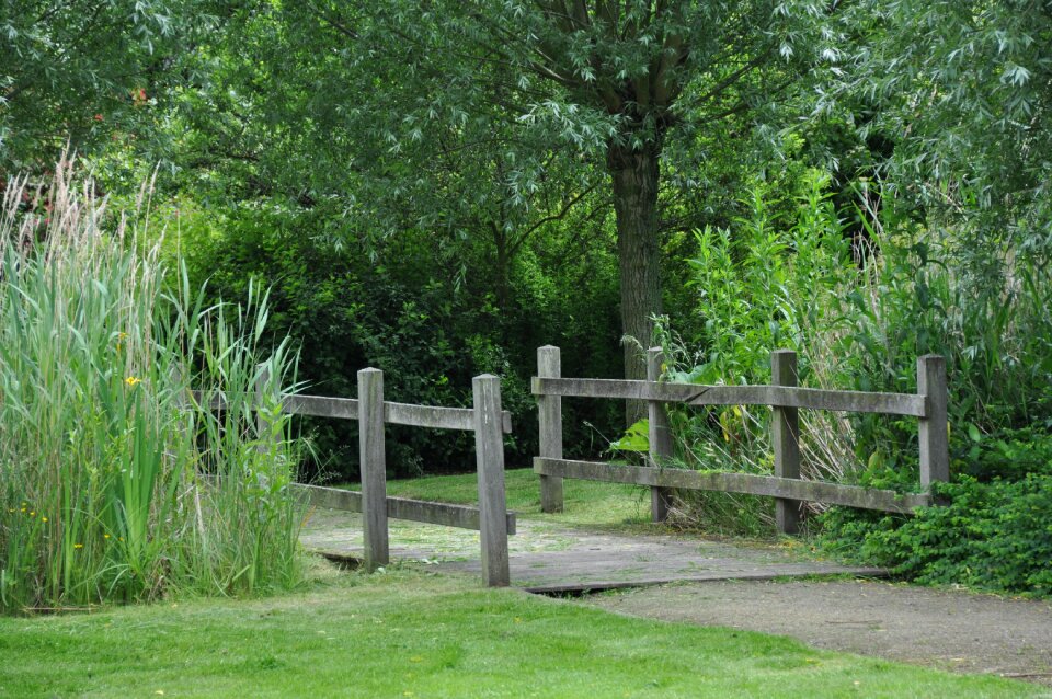 Farewell park trees