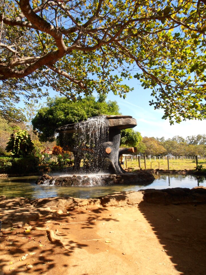 Nature brazil landscape