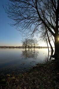 Rheingau eltville high water