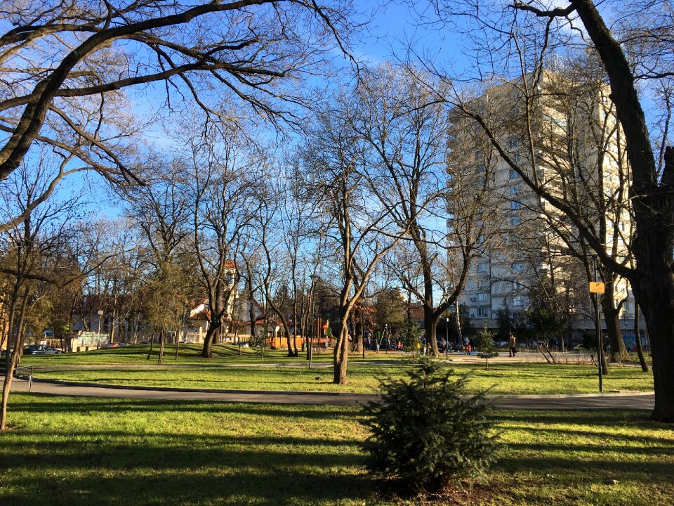 Center of the city autumn city ​​park