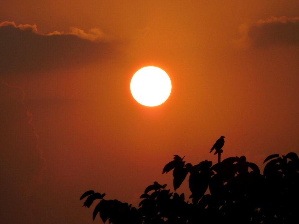 Summer sun