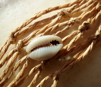 Nature dew rope