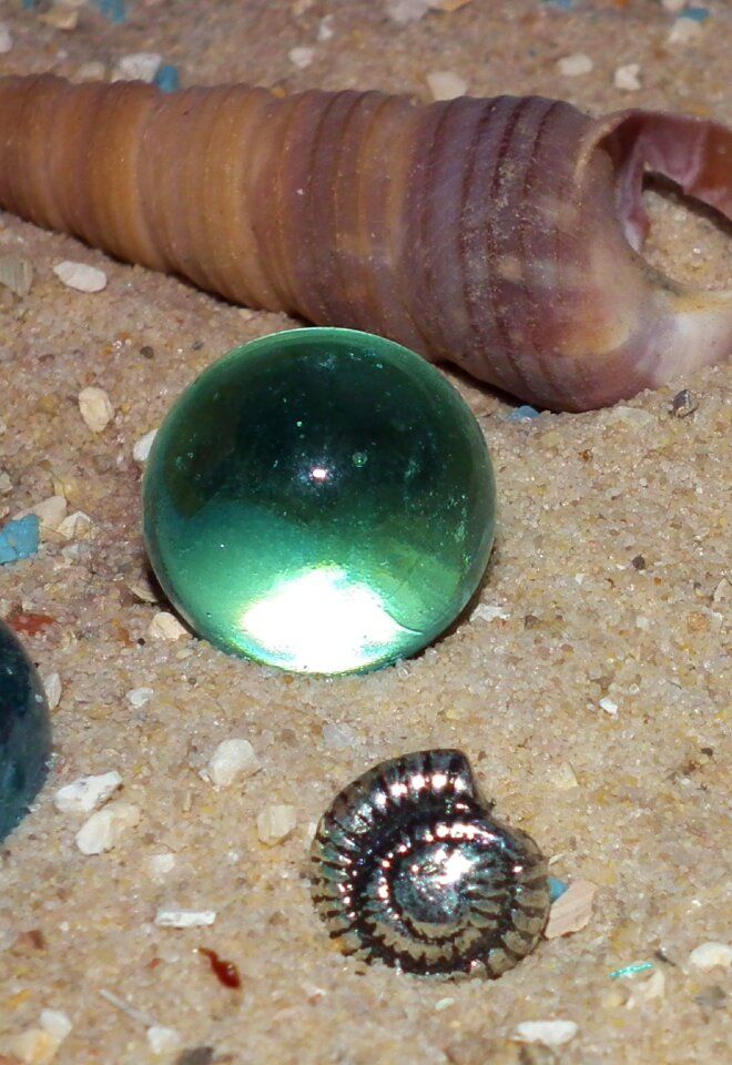 Green decoration beach