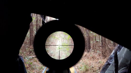 Scope target 7m08 photo