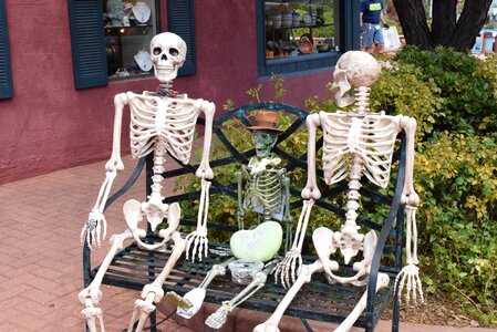 Skeleton halloween bench