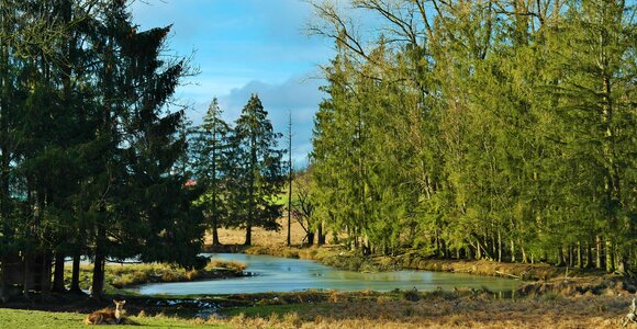 Lake bank winter photo