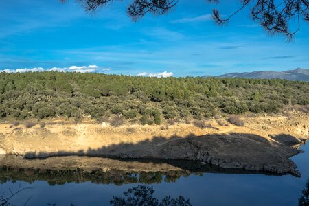 Water trees weed
