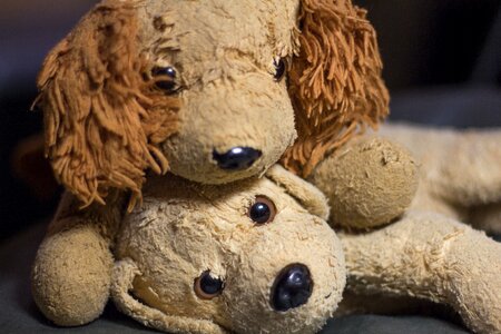 Soft toy teddy bear stuffed animal photo
