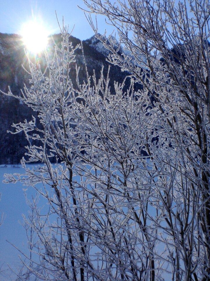 Winter magic cold hoarfrost photo