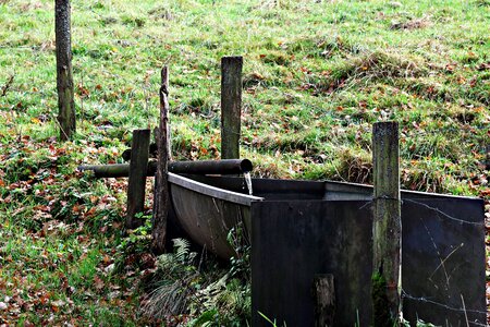 Thirst pasture faucet