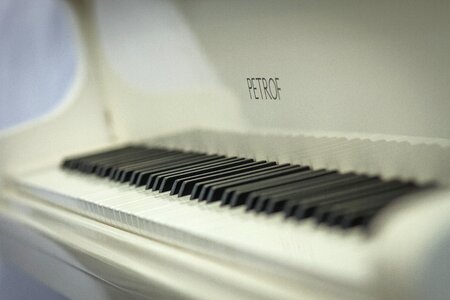 Grand piano white klafishi photo