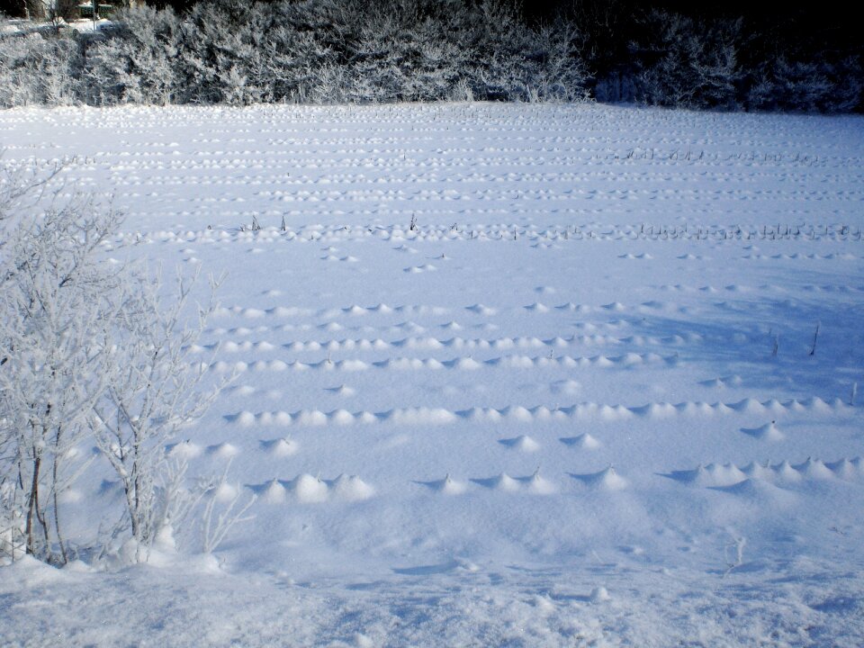 Snow wintry cold