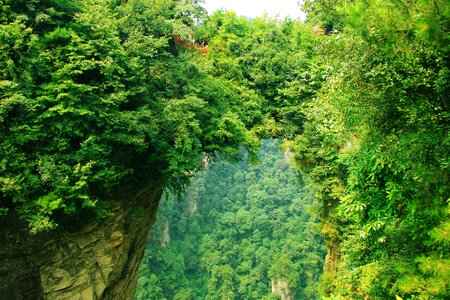 Zhangjiajie the world bridge yuanjiajie