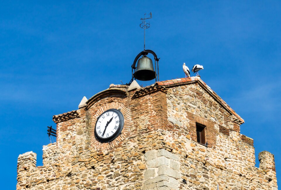Clock campaign hour
