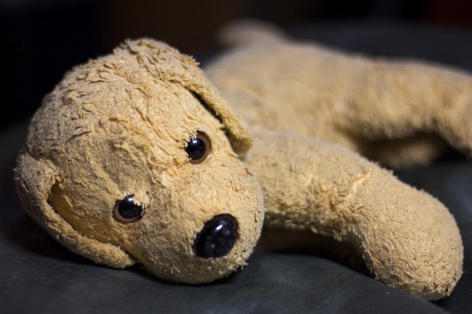 Soft toy teddy bear stuffed animal