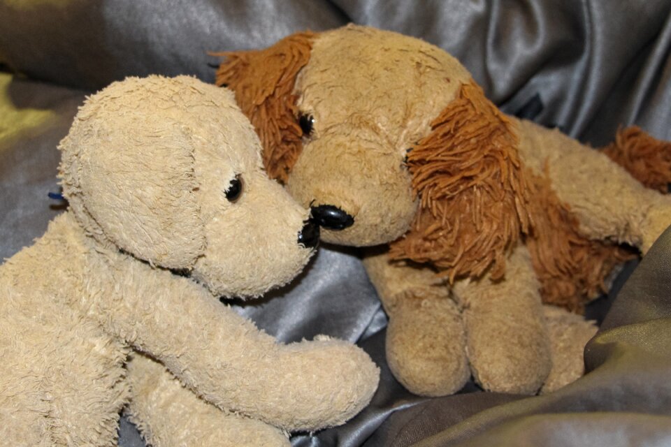 Soft toy teddy bear stuffed animal