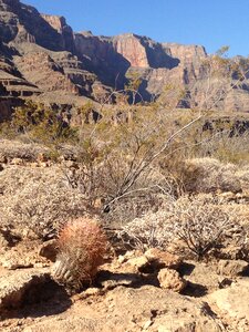 Grand canyon desert usa photo