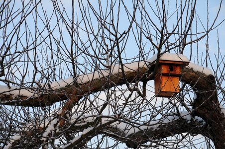 Bird feeder nesting help tree photo