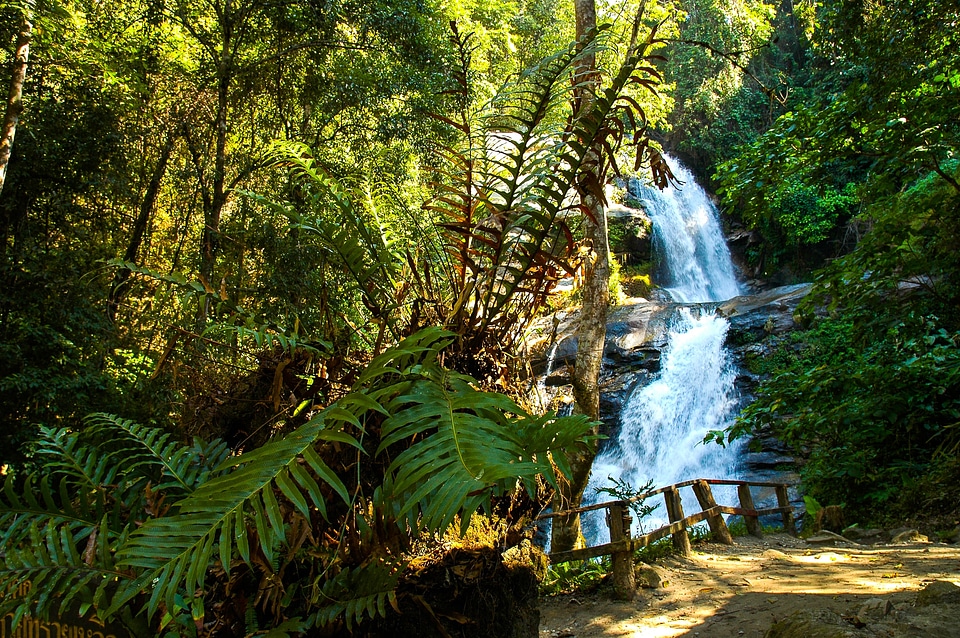 Waterfall forest landscape