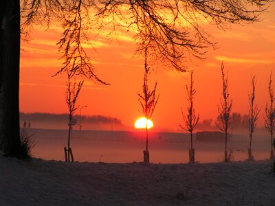 Winter trees sunset photo