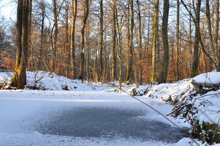 Dust snow frost