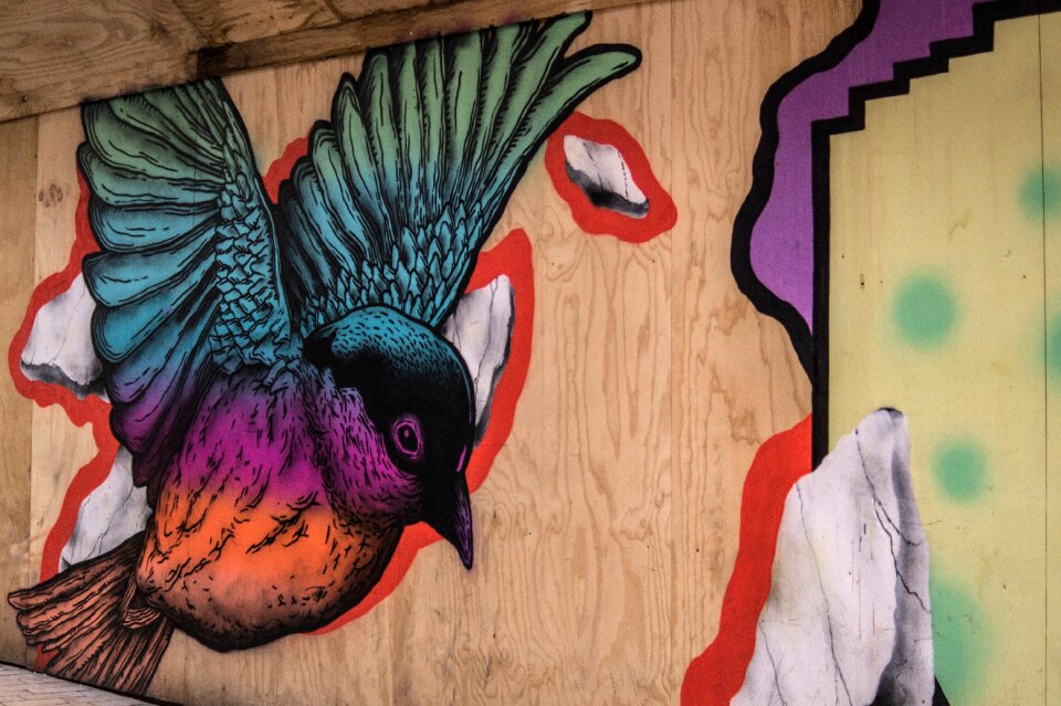Art street art colorful