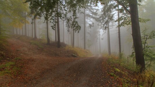 Szklarska poręba hiking trails mountain trekking photo