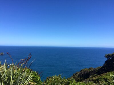 New zealand the scenery the pacific ocean
