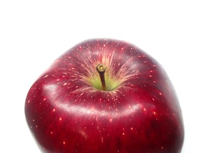 White background white red