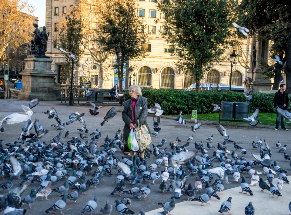 Park catalonia landmark photo