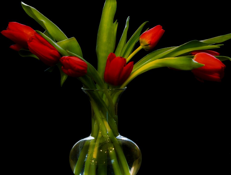 Red color floral