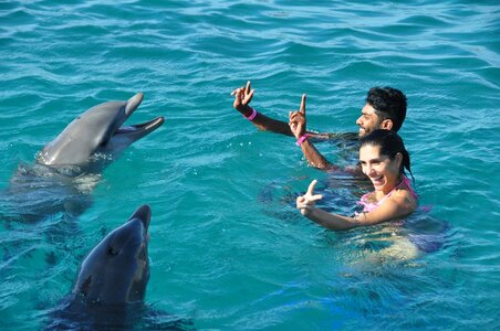 Water swimming aquatic