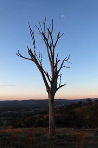 Nature outback australia photo