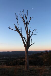 Nature outback australia