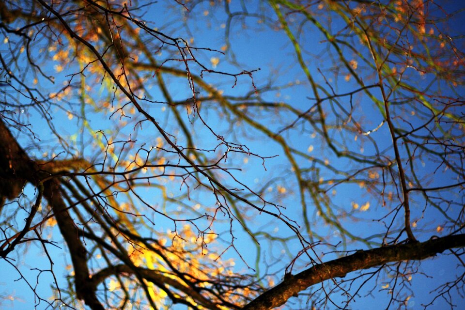 Nature sky lighting
