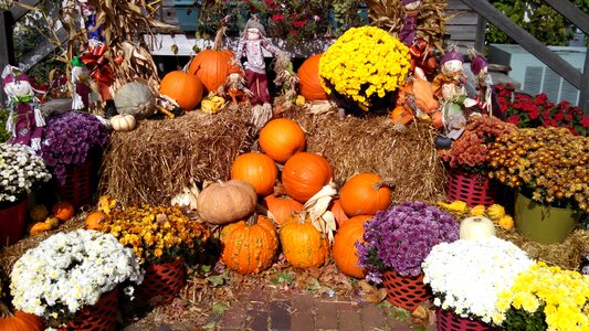 Autumn fresh agriculture
