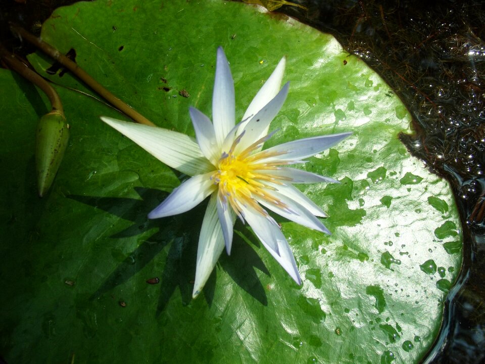 Lake soft nature