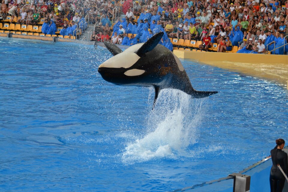 Water park jump performance