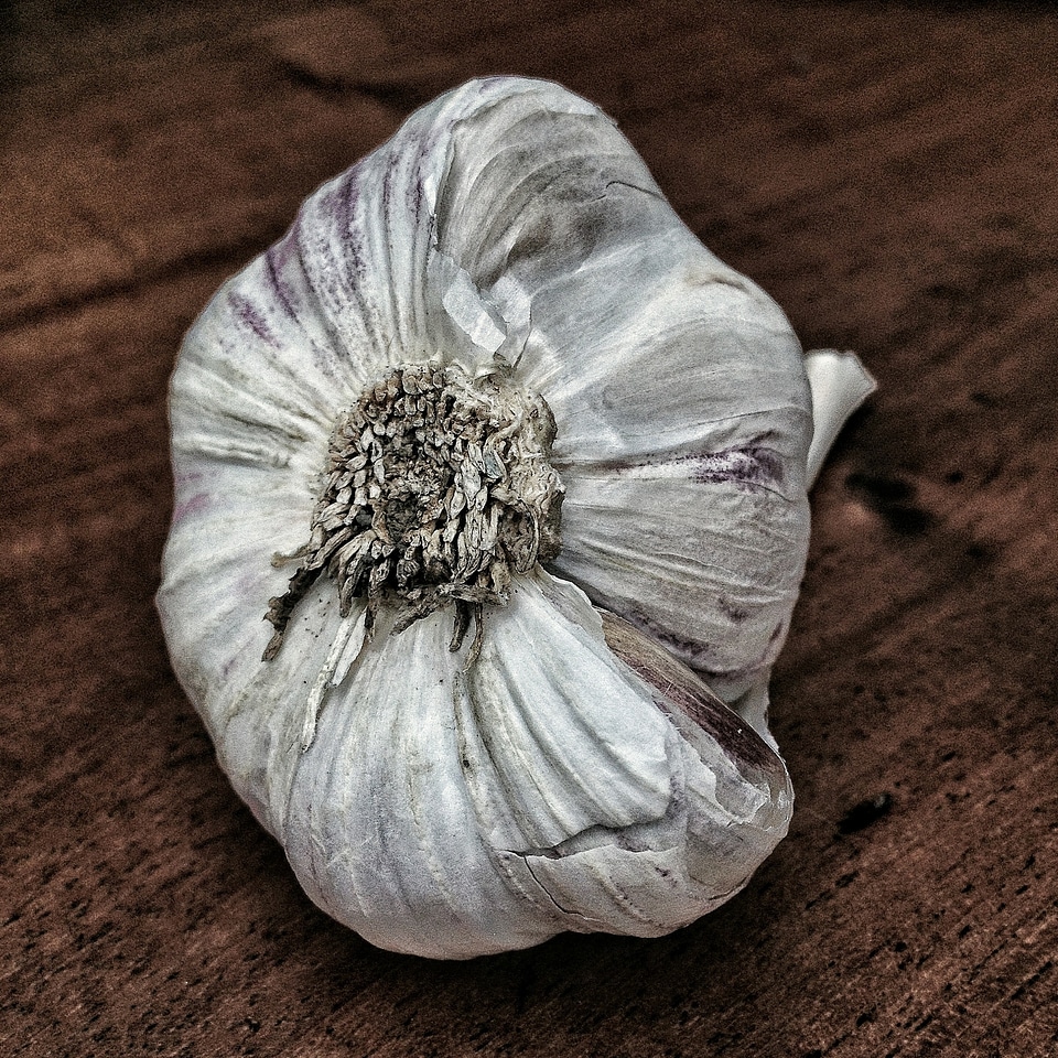 Garlic smell vegetables