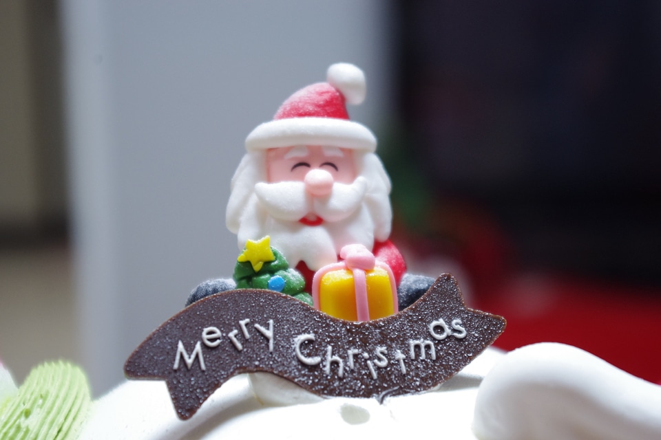 Santa claus cake christmas party