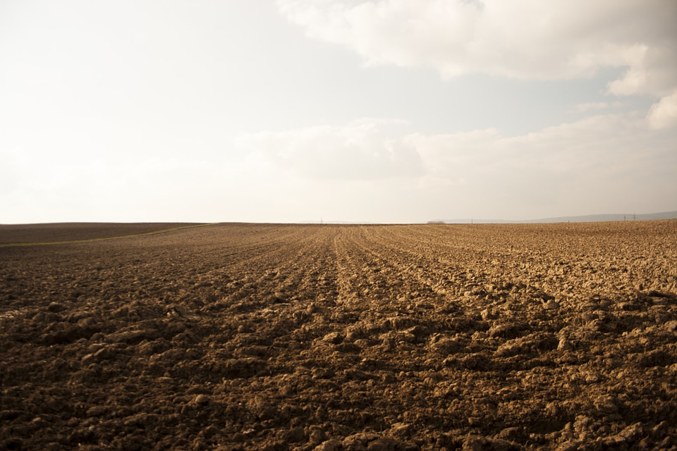 Nature environment landscape